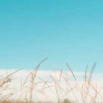 Sommerkleider Damenkleider (de.depositphotos.com)